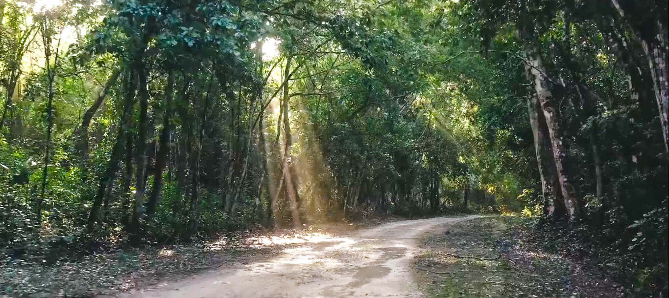 descubrías la <strong>naturaleza</strong>
